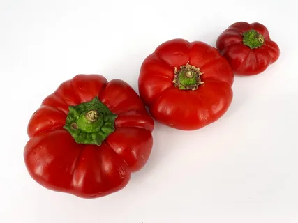 خرید فلفل دلمه‌ ای قرمز + قیمت عالی باکیفیت